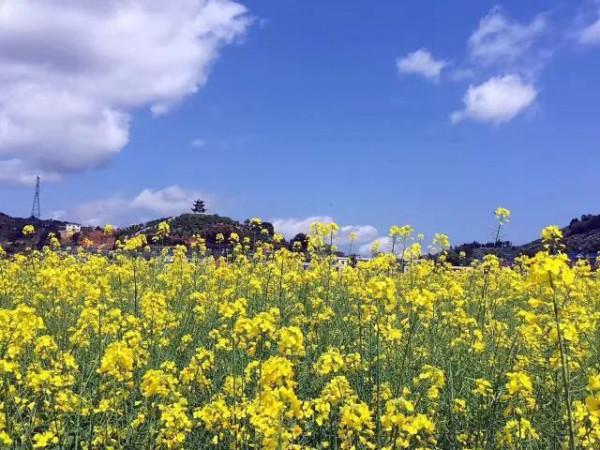 2022年旅行計劃,按著月份走,一鍵解鎖各大美景,快快收藏 2022年旅行計劃,按著月份走,一鍵解鎖各大美景,快快收藏