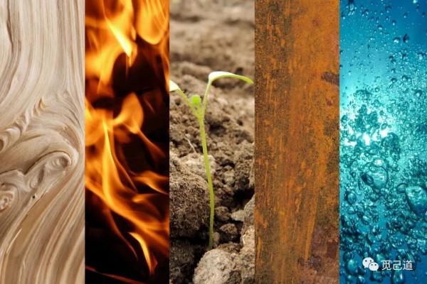 這個世界是由什麼組成的？