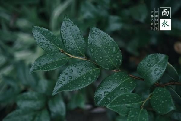 二十四節氣 | 好雨時節、潤物無聲