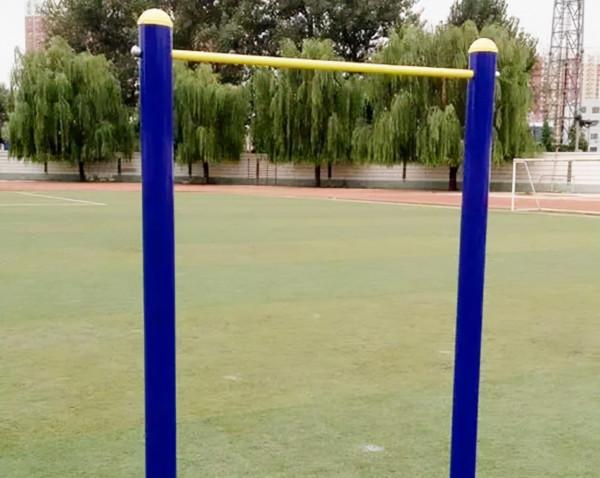 24年前在西沙中建島栽了一棵椰子樹，如今長成了啥樣？