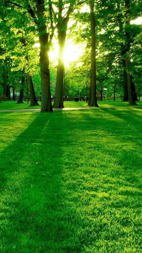 孫式太極拳,開啟健康生活好心情 孫式太極拳,開啟健康生活好心情