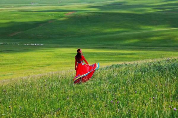 美妙夏日，世界四大草原之一，最好吃的羊肉，錫林郭勒自駕攻略
