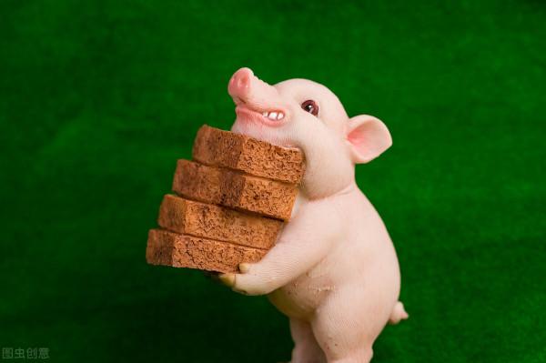 歲月靜好寫芳華,新年歌裡話耕耘 歲月靜好寫芳華,新年歌裡話耕耘