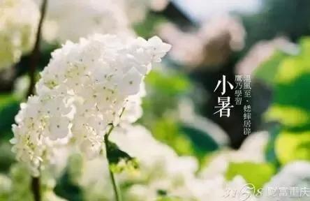 二十四節氣：中國傳統文化，上古農耕文明的產物，你知曉多少？