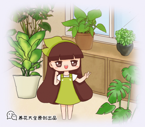 “黃金萬兩財通四海”，適合做生意養的6款植物，寓意超好