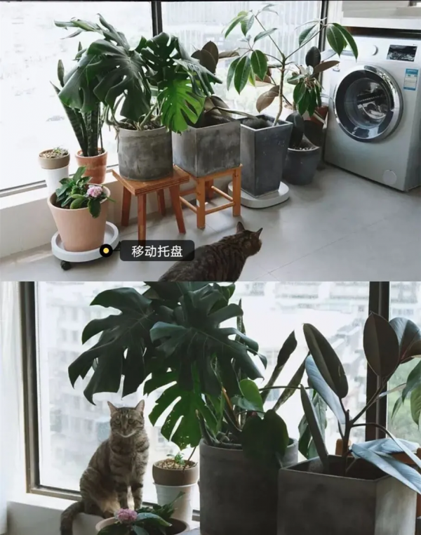 我家陽臺用了4年越用越舒服，天天有人取經如何裝修，必須曬曬