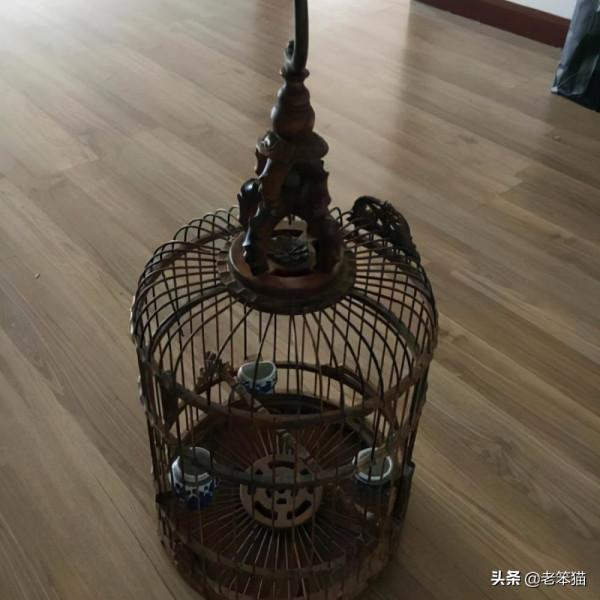 祖傳天價鳥籠背後的故事:老頭無心之錯損失五萬,女兒卻自掏腰包 祖傳天價鳥籠背後的故事:老頭無心之錯損失五萬,女兒卻自掏腰包