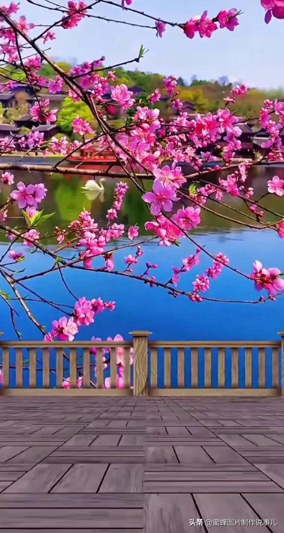 美圖分享，自然美景，可以治癒心靈