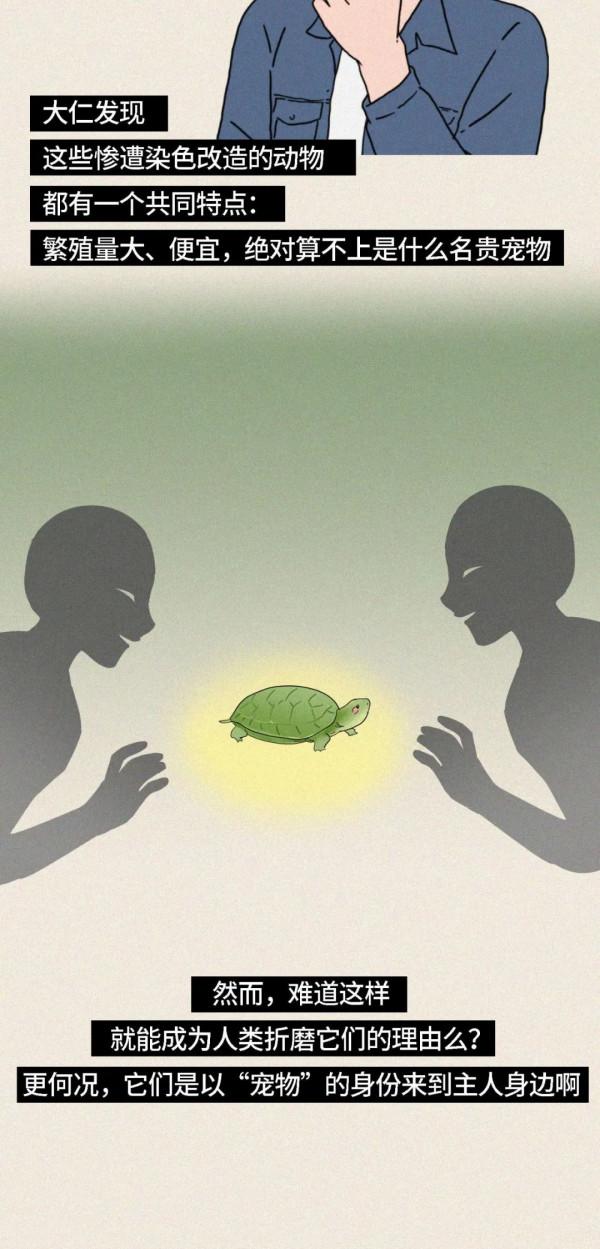 人類自以為的美麗，正在殺死我