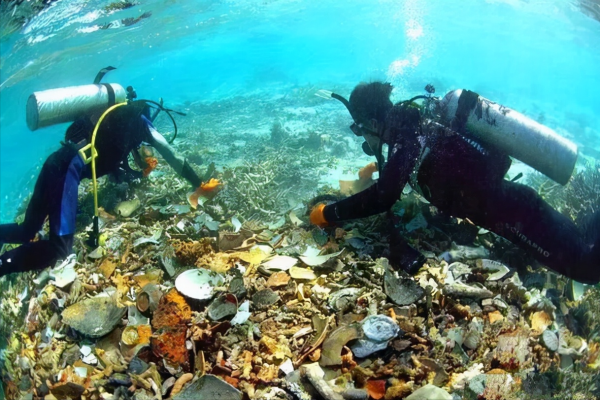 1987年南海發現800年神秘沉船,我國花費3億打撈,英國喊話我們的 1987年南海發現800年神秘沉船,我國花費3億打撈,英國喊話我們的