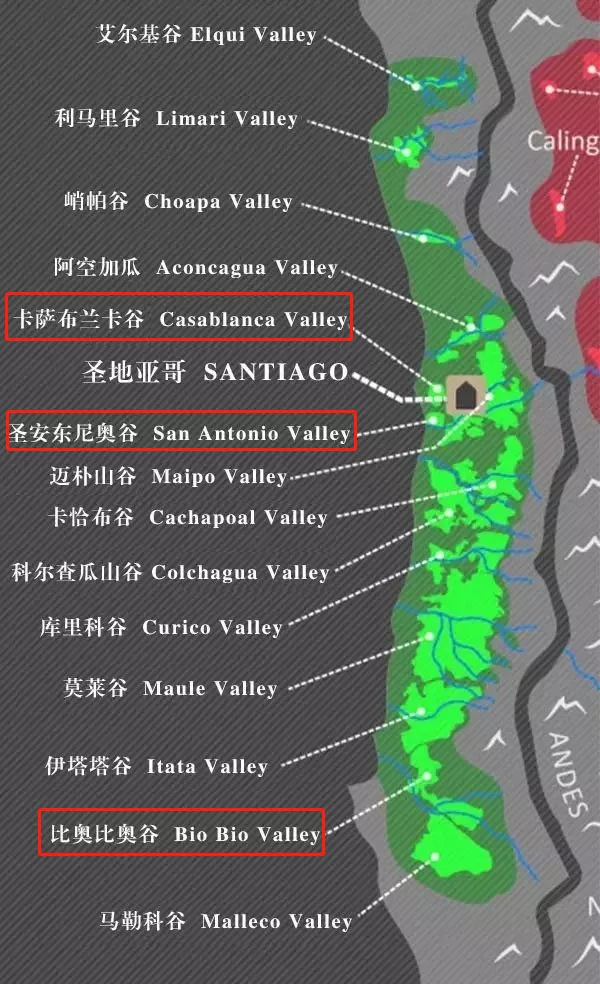 與黑皮諾一起環遊世界 與黑皮諾一起環遊世界