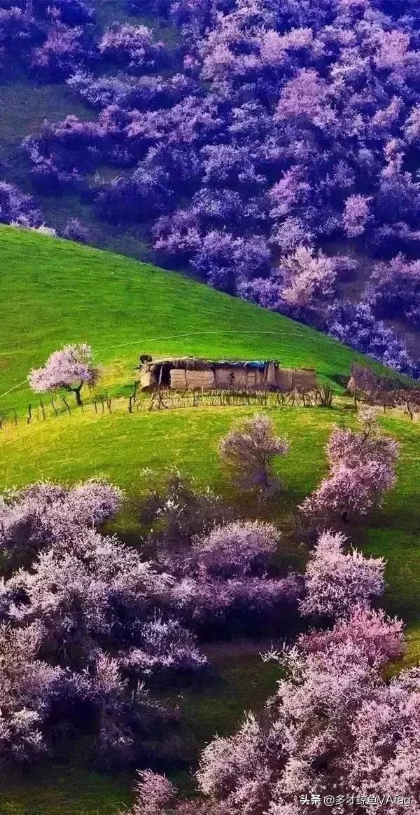 新疆美景，恍若仙境