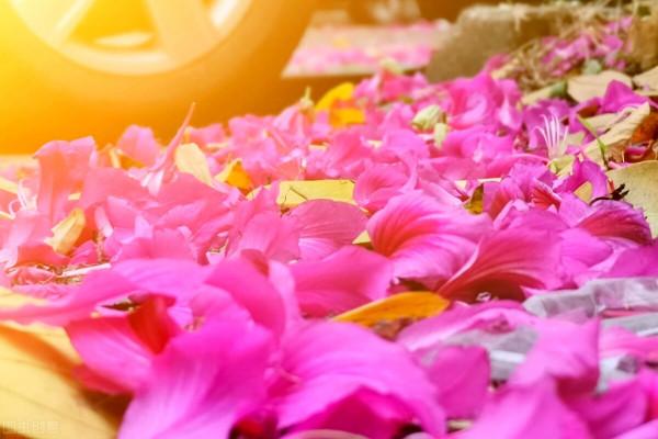 中年以後的生活，越簡單越好