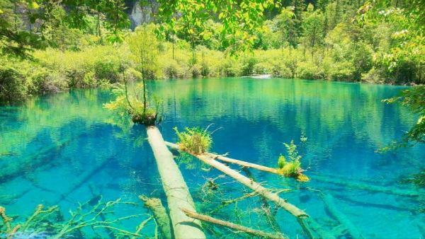 遊九寨不可久戀