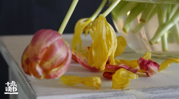 “自殺式社交”的5種表現