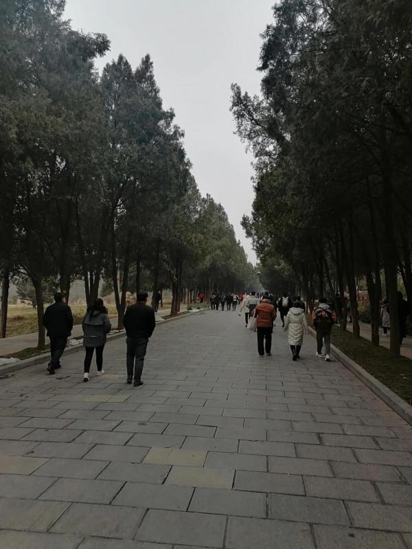 帶著母親看天下（少林寺景區）