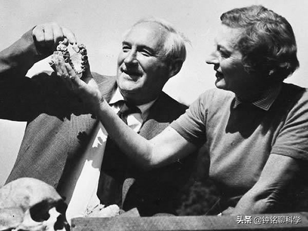 人類起源或被改寫?360萬年前的足跡化石,或來自未知的人族物種 人類起源或被改寫?360萬年前的足跡化石,或來自未知的人族物種