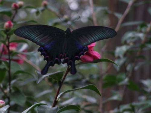 3首篡改古人名作的古詩詞，妙趣橫生，千年後依然味道十足