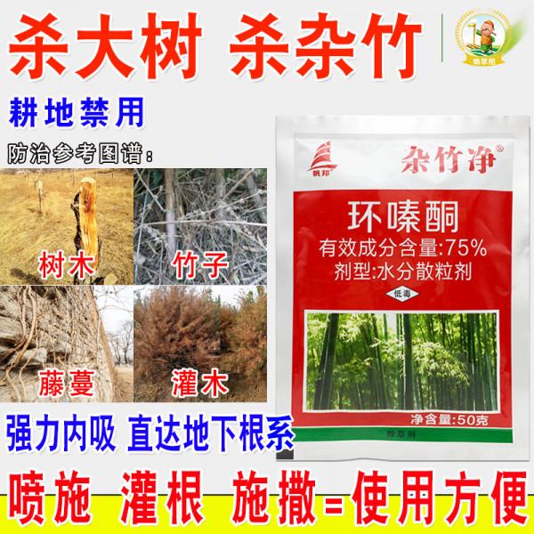 殺樹殺竹三年不長草？環嗪酮和甲嘧磺隆是什麼關係？