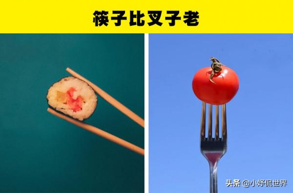 看起來像編造的小說,但屬於真實歷史的8個奇怪事實 看起來像編造的小說,但屬於真實歷史的8個奇怪事實