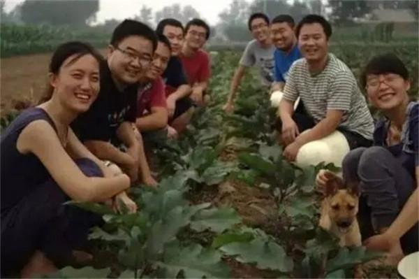 清華女博士畢業當農民：種地11年、年收入破百萬，父母已認不出