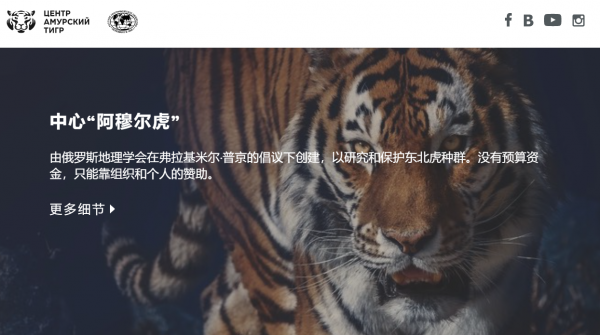 阿穆爾虎中心：從“民間組織”到“官方組織”的煉成之路