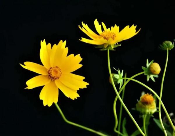 現代詩|詩與無題 現代詩|詩與無題