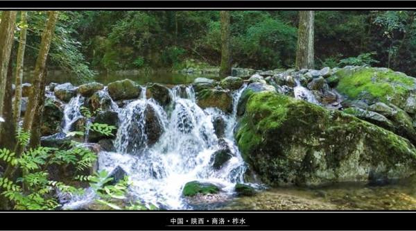 終南山牛背梁:靜謐的羚牛谷,溪、潭、瀑、橋可能並不是它的全部 終南山牛背梁:靜謐的羚牛谷,溪、潭、瀑、橋可能並不是它的全部