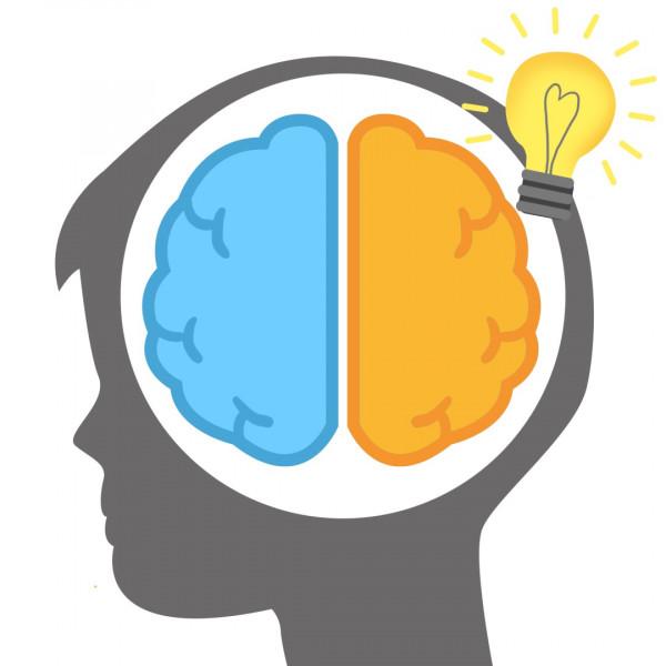 “動物人參”比雞蛋更補人！這樣吃健腦、潤肺、護肝腎，補足全身營養