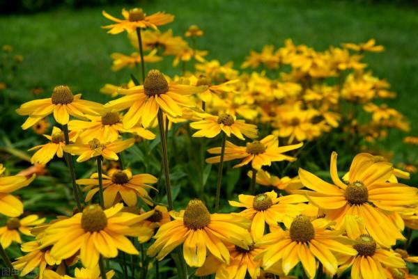 自強不息:星光不問趕路人,只爭朝夕 自強不息:星光不問趕路人,只爭朝夕