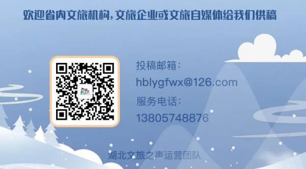 “摸金校尉”，抓！