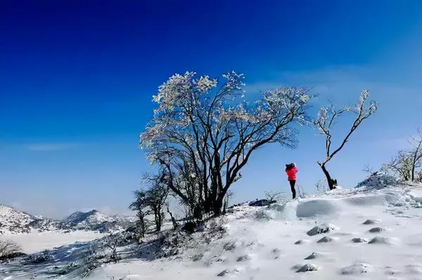 一下雪，國內這15個絕美旅行地，才是真正的人間仙境