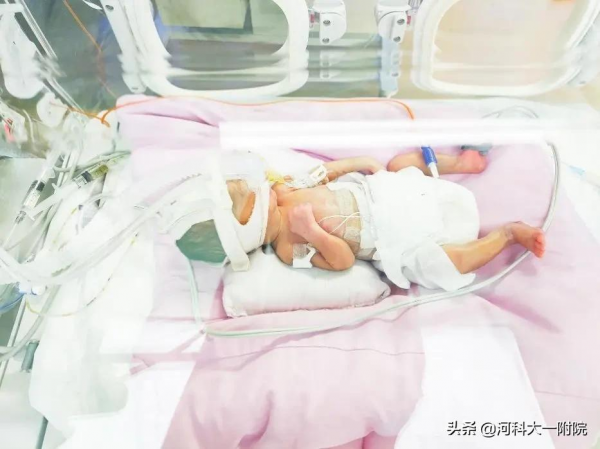 這些“臨時媽媽”們,用愛點亮新生兒的希望 這些“臨時媽媽”們,用愛點亮新生兒的希望