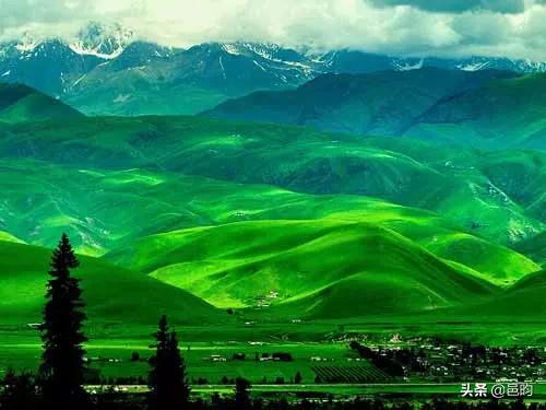 世界上最美的高山草原——那拉提草原