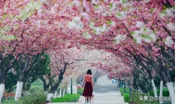 期待春天來了的時候，和你一日看盡長安花