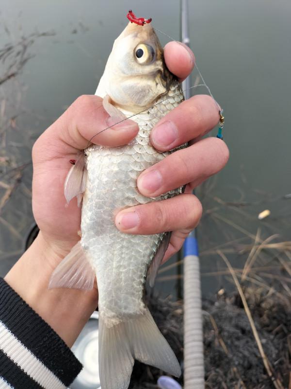 一起來尋&OpenCurlyDoubleQuote;巨物&rdquo;絕對是漁獲中的亮點