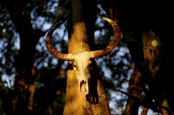 翁丁聽到的獵人頭故事：真的要他們去砍人，小哥倆膽怯了