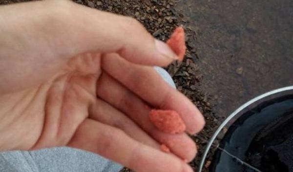 這樣調整你也能正口中魚,就在12點方向,而且魚獲大增 這樣調整你也能正口中魚,就在12點方向,而且魚獲大增