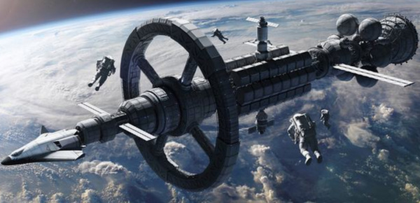 美國“送”給荷蘭的月球岩石是假貨？月岩變木化石，玩笑開大了