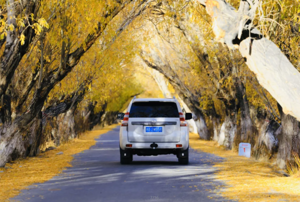如果一年只能去一次南疆，千萬不要秋天去