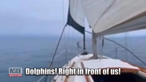 美國教授出海遊玩偶遇一群海豚，竟救回一個漂流了12小時的女子