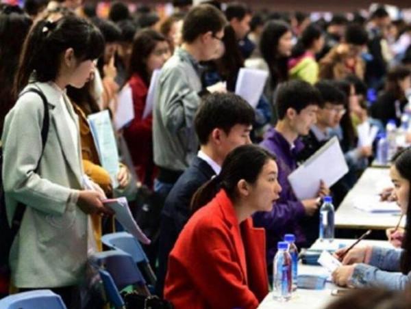 本科生也分三六九等，一共5個檔次，這兩個檔次的畢業生較吃香