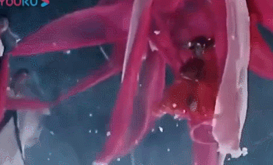 5版邀月宮主顏值對比，誰能打動玉郎江楓，誰擔不起絕世美人稱號