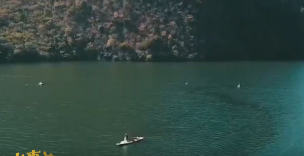 2009年老闆投入6000萬尾魚苗，魚集體失蹤，4年後靠魚年收3000萬