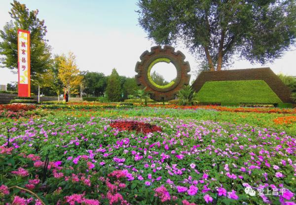 中秋好天氣,秋高氣爽爬山賞花過佳節! 中秋好天氣,秋高氣爽爬山賞花過佳節!