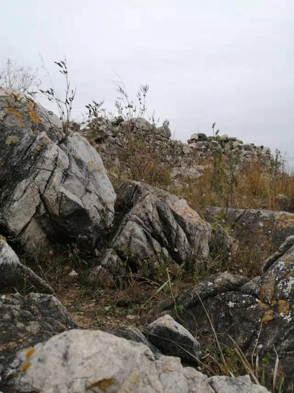 鎮平紅嶺窩的楚長城歷史探微