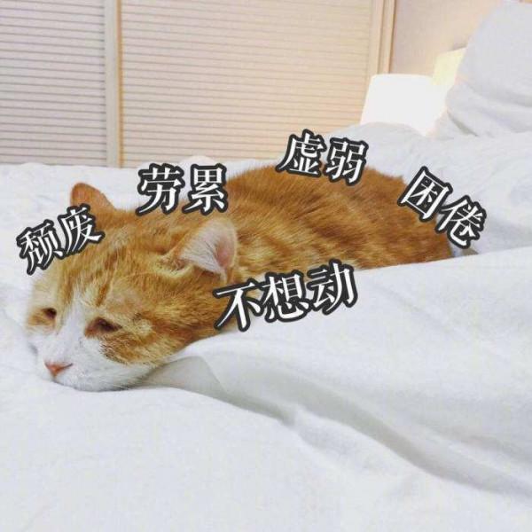 吃健健康康，就要遠離這十類食物