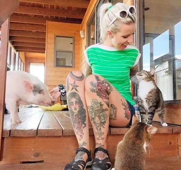 被殘疾貓媽養大的小豬,堅定地認為自己是隻貓,網友:豬咪? 被殘疾貓媽養大的小豬,堅定地認為自己是隻貓,網友:豬咪?