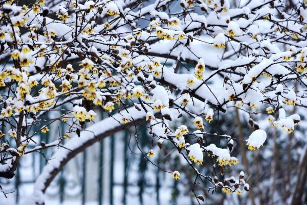 什麼是初心?一句宋詩“天地初心只是生”,體面活著,才是初心 什麼是初心?一句宋詩“天地初心只是生”,體面活著,才是初心