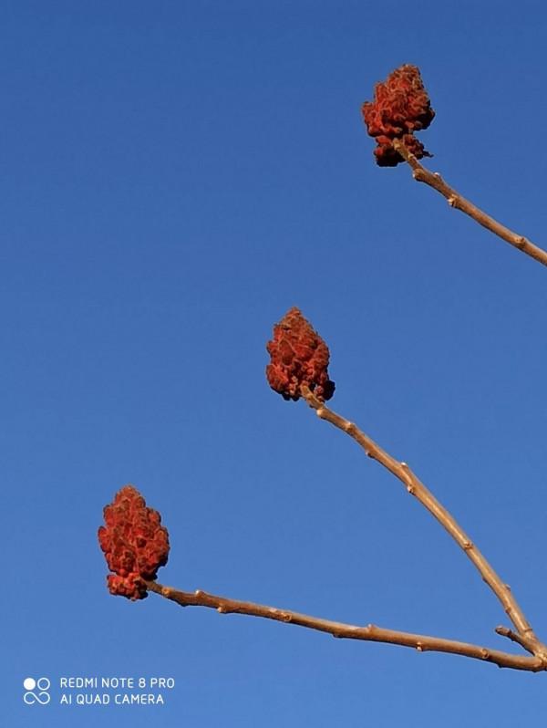 尋找幽靜好去處